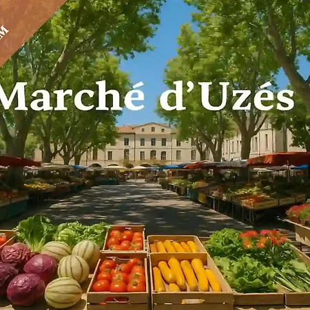 Maison Centre Jardin Piscine Partagee * Goudargues